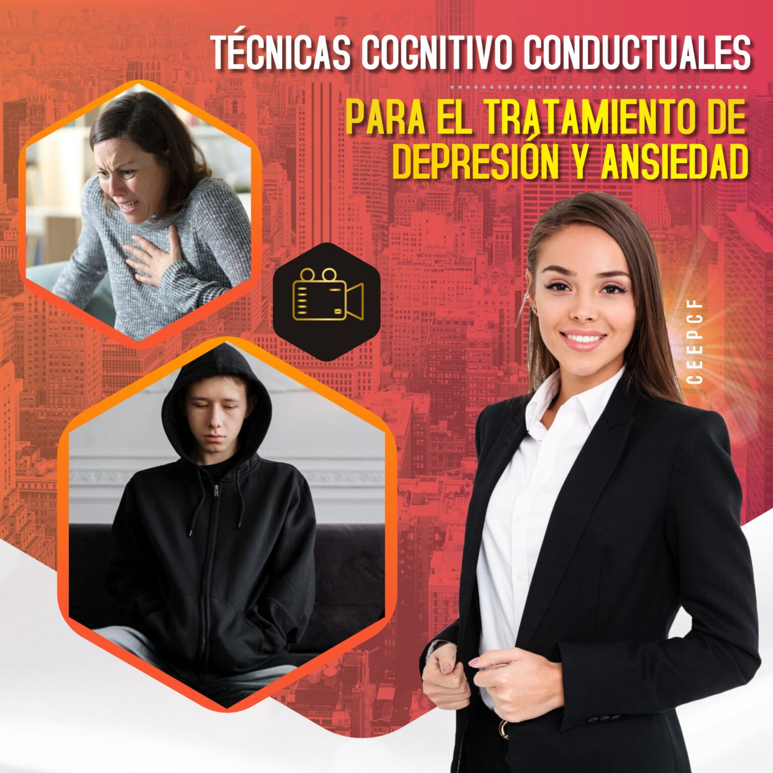 T Cnicas Cognitivo Conductuales Para El Tratamiendo De Depresi N Y