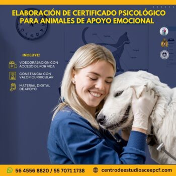 Elaboración de certificado psicológico para animales de apoyo emocional