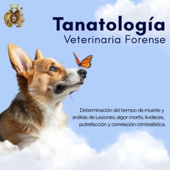 TANATOLOGÍA VETERINARIA FORENSE