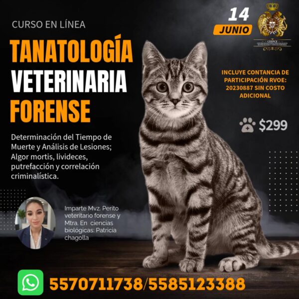 "TANATOLOGÍA VETERINARIA FORENSE"