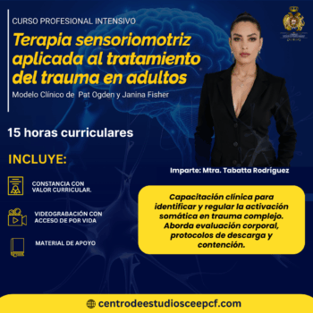Terapia sensorio motriz aplicada al tratamiento del trauma en adultos