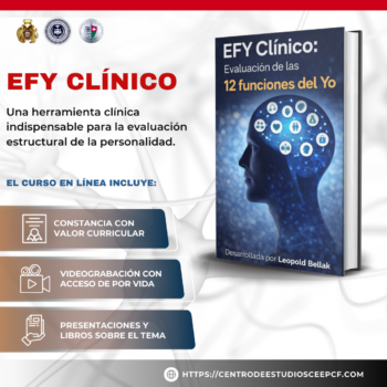 EFY Clínico: Dominio profesional de las 12 funciones del yo