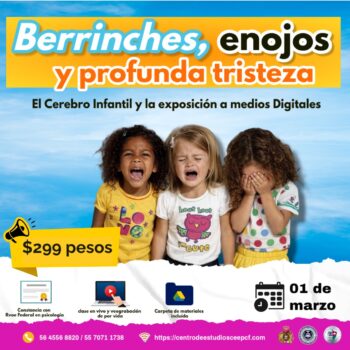 Berrinches, irritabilidad y vacío emocional: El cerebro infantil bajo ataque digital