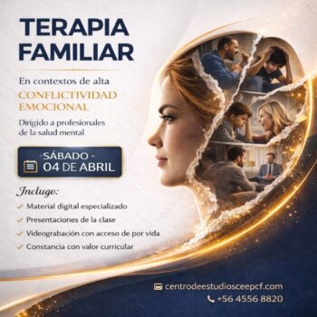 Terapia Familiar en contextos de alta conflictividad emocional.