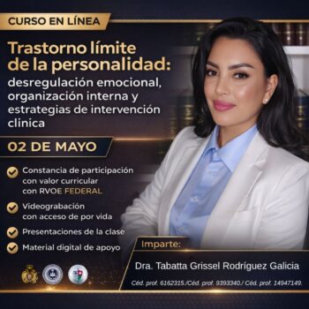 Trastorno límite de la personalidad: desregulación emocional, organización interna y estrategias de intervención clínica
