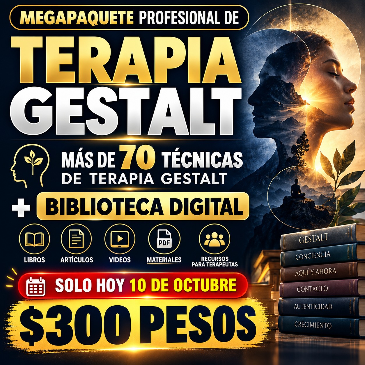 MEGAPAQUETE PROFESIONAL DE TERAPIA GESTALT